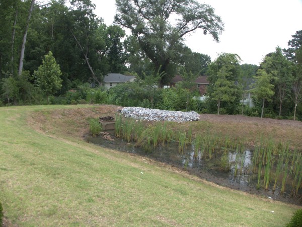 p2060084_tn.jpg