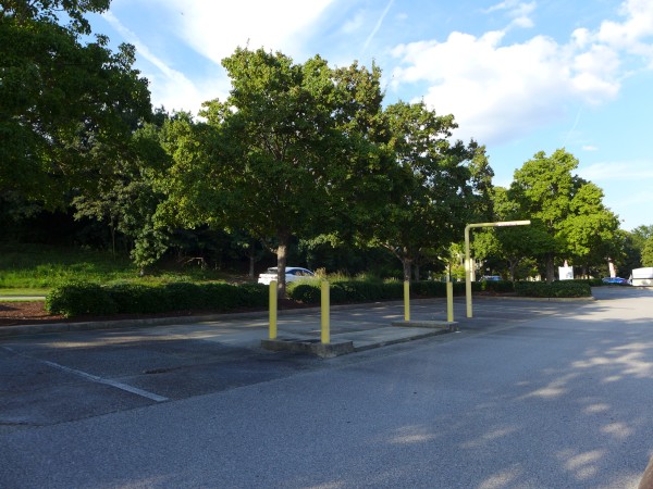 p2070151_tn.jpg