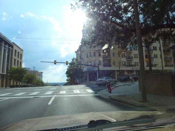 p2070200_tn.jpg
