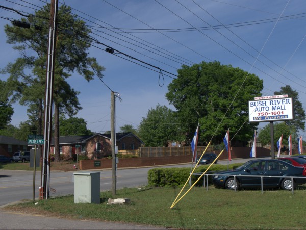 p1040978_tn.jpg