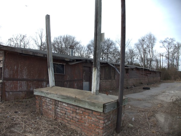 p1110850_tn.jpg