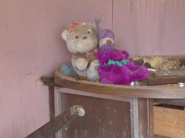 p1110871_tn.jpg