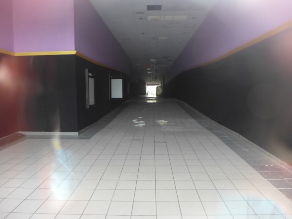 p2070388_tn.jpg
