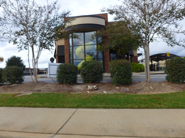 p2070444_tn.jpg p2070444_tn.jpg