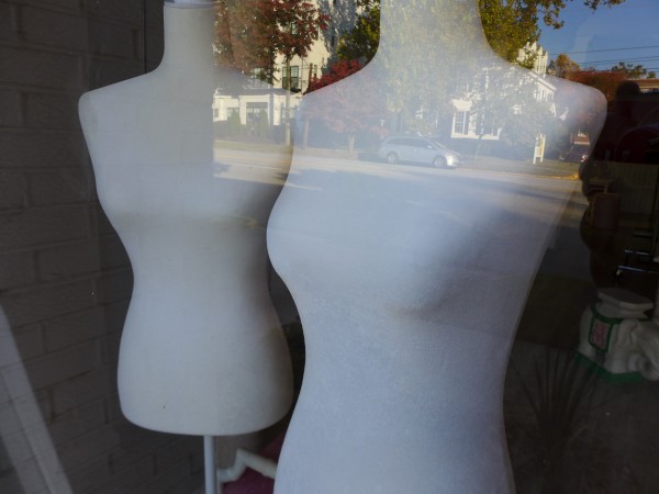 p2070521_tn.jpg p2070521_tn.jpg