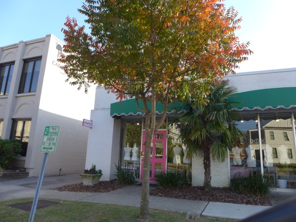 p2070522_tn.jpg p2070522_tn.jpg