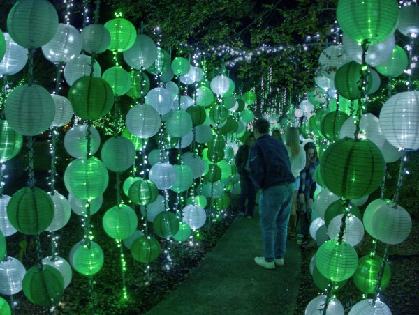 Set173from_p2080054_tn.jpg Set173from_p2080054_tn.jpg