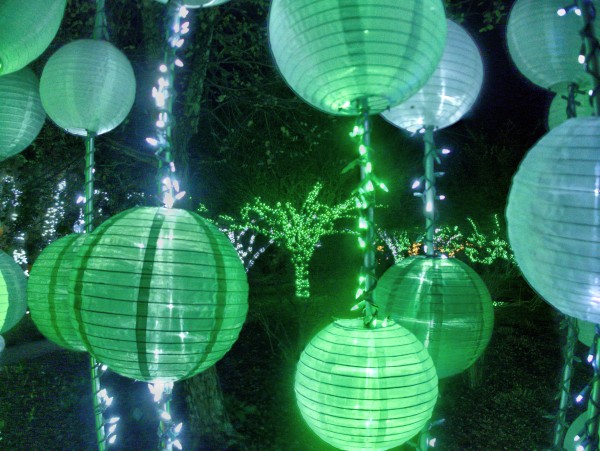 Set183from_p2080057_tn.jpg Set183from_p2080057_tn.jpg