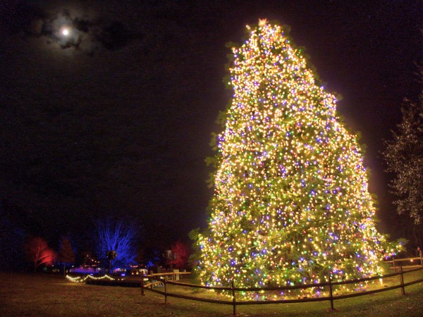 Set263from_p2080098_tn.jpg Set263from_p2080098_tn.jpg