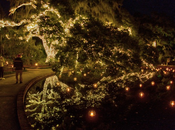 Set383from_p2080137_tn.jpg Set383from_p2080137_tn.jpg