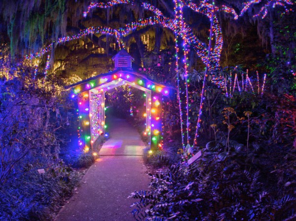 Set473from_p2080166_tn.jpg Set473from_p2080166_tn.jpg