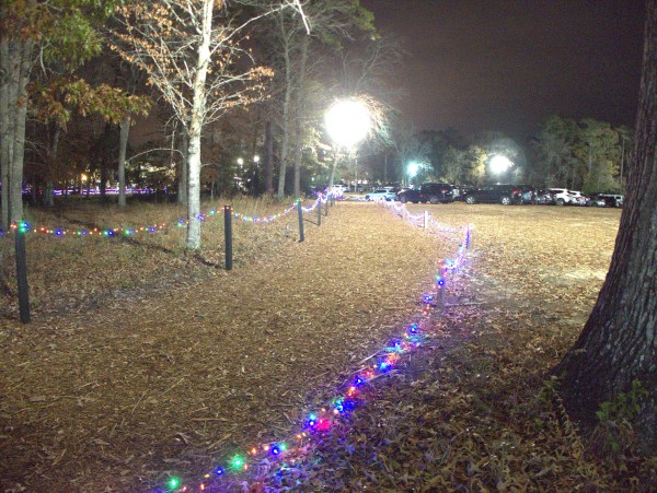 p2070860_tn.jpg p2070860_tn.jpg