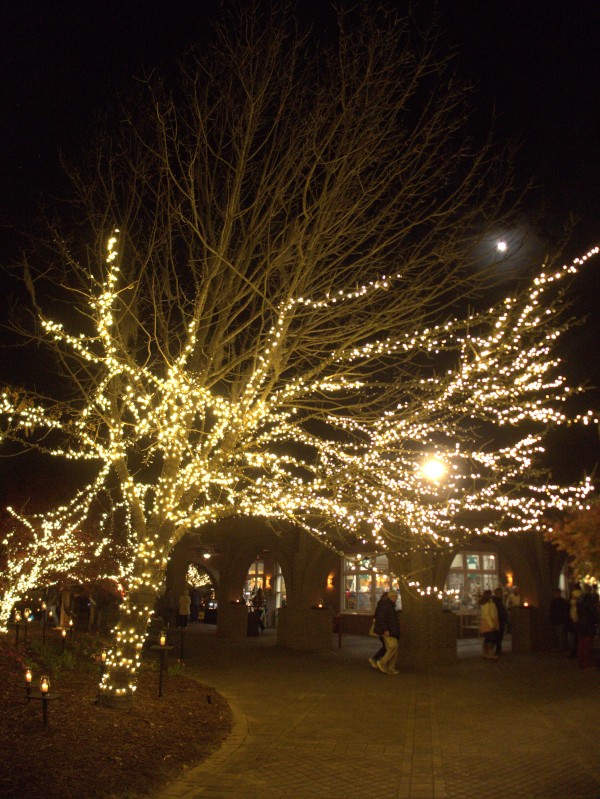 p2070972_tn.jpg p2070972_tn.jpg