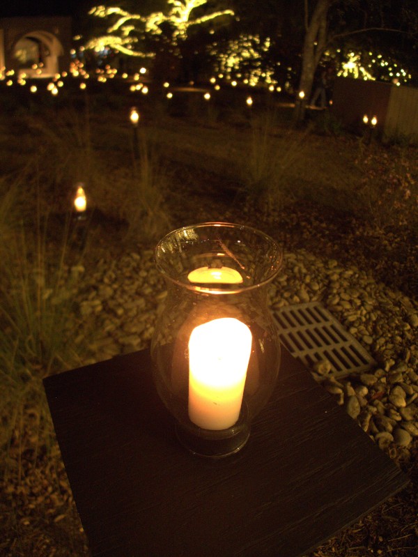 p2070975_tn.jpg p2070975_tn.jpg