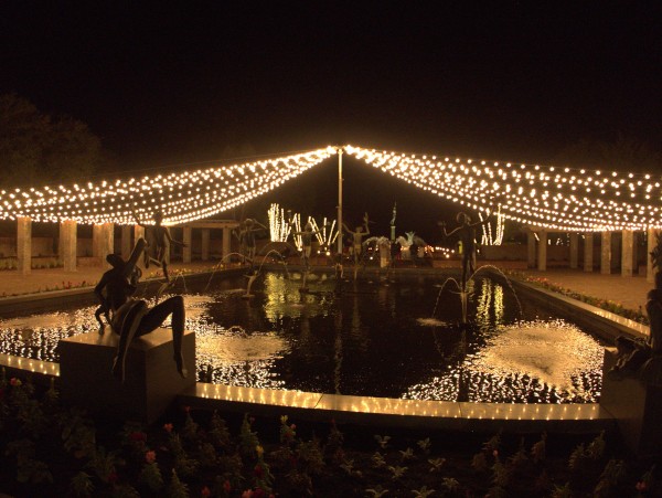 p2070981_tn.jpg p2070981_tn.jpg