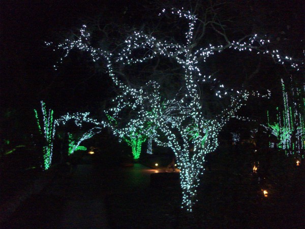 p2080042_tn.jpg p2080042_tn.jpg