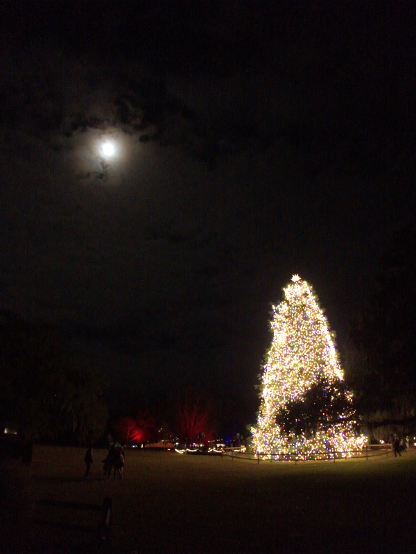 p2080092_tn.jpg p2080092_tn.jpg