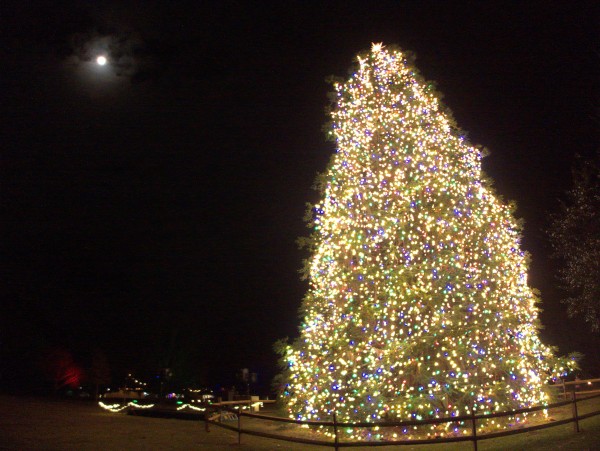 p2080093_tn.jpg p2080093_tn.jpg