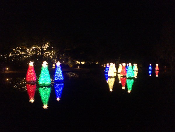 p2080125_tn.jpg p2080125_tn.jpg