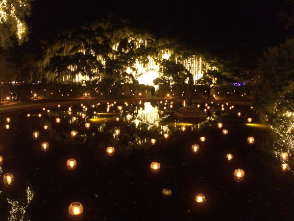 p2080134_tn.jpg p2080134_tn.jpg