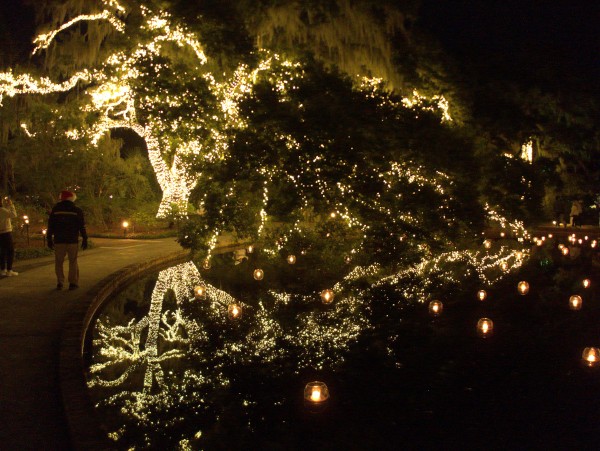 p2080137_tn.jpg p2080137_tn.jpg