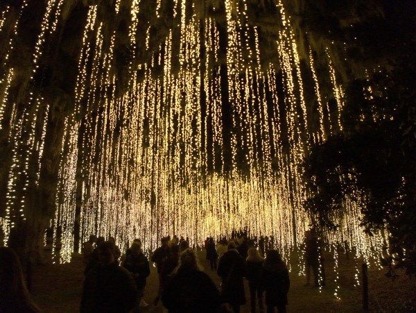 p2080149_tn.jpg p2080149_tn.jpg