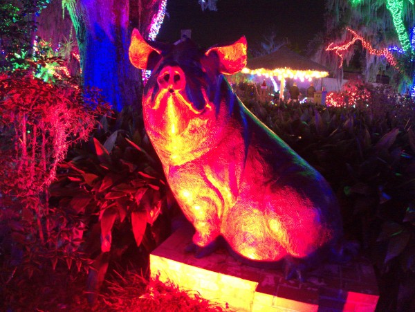 p2080165_tn.jpg p2080165_tn.jpg