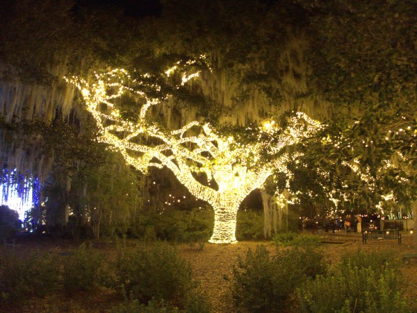 p2080171_tn.jpg p2080171_tn.jpg