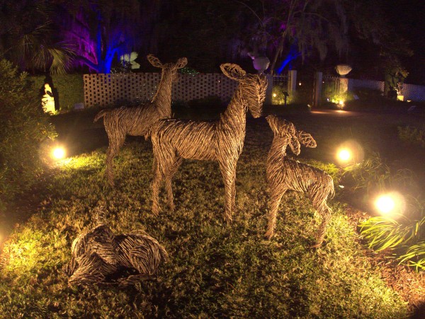 p2080172_tn.jpg p2080172_tn.jpg