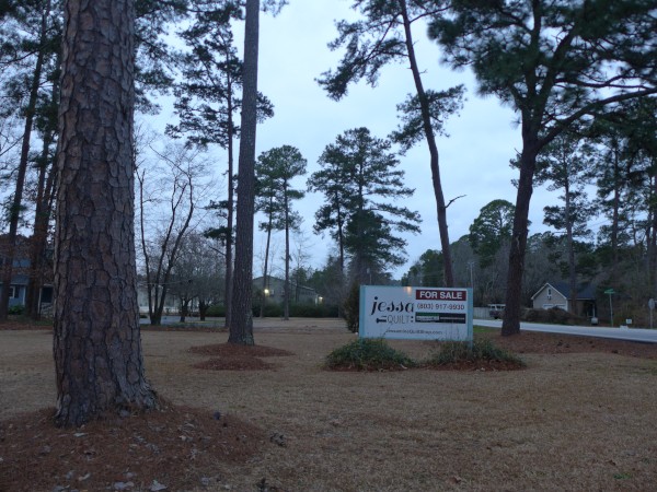 p2090868_tn.jpg p2090868_tn.jpg