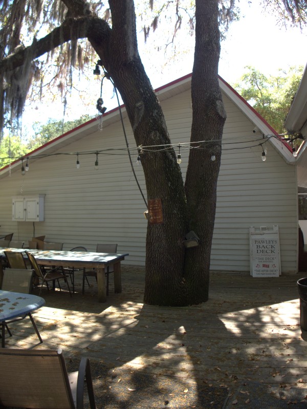 p2100622_tn.jpg p2100622_tn.jpg