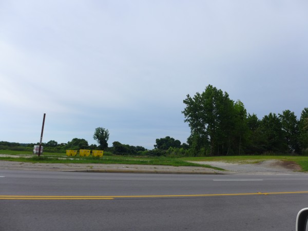 p2110610_tn.jpg