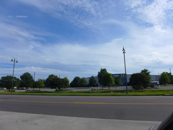 p2110681_tn.jpg