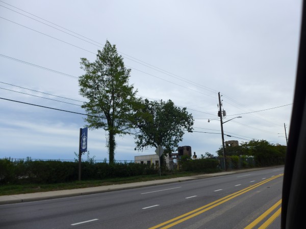 p2130210_tn.jpg