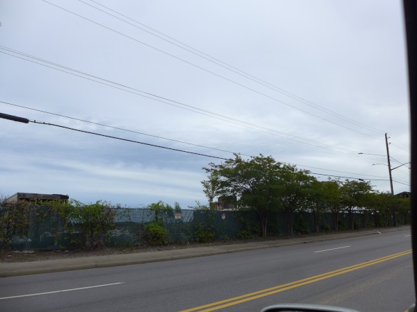 p2130211_tn.jpg