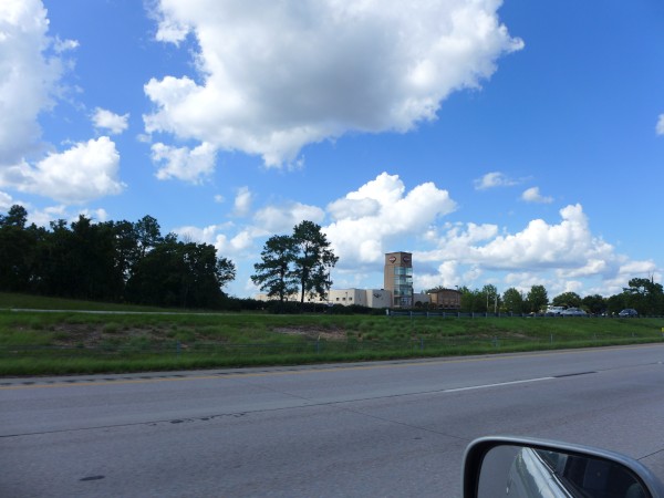 p2130230_tn.jpg