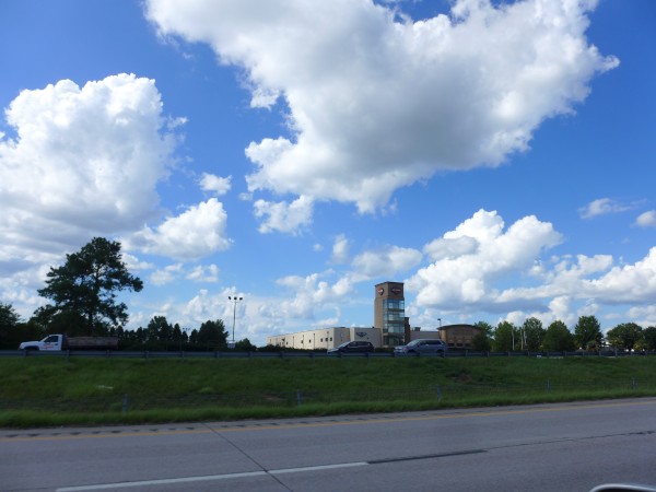p2130231_tn.jpg