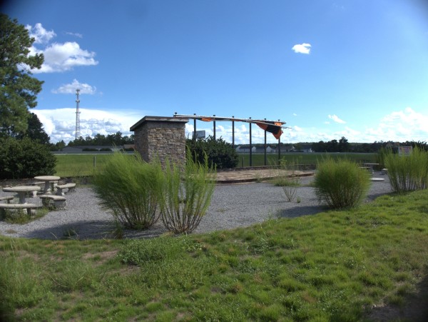 p2130265_tn.jpg