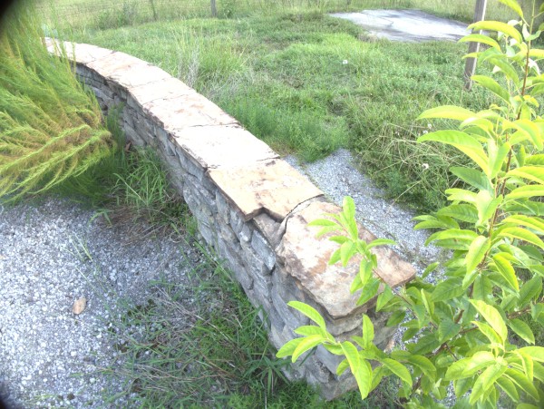 p2130274_tn.jpg