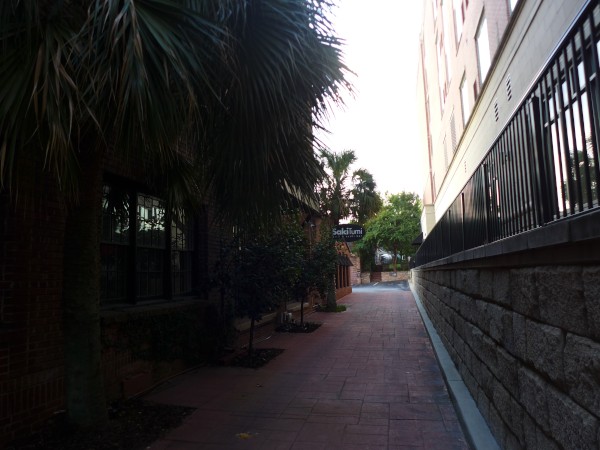 p2130758_tn.jpg