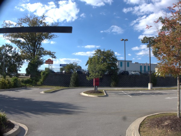p2130875_tn.jpg