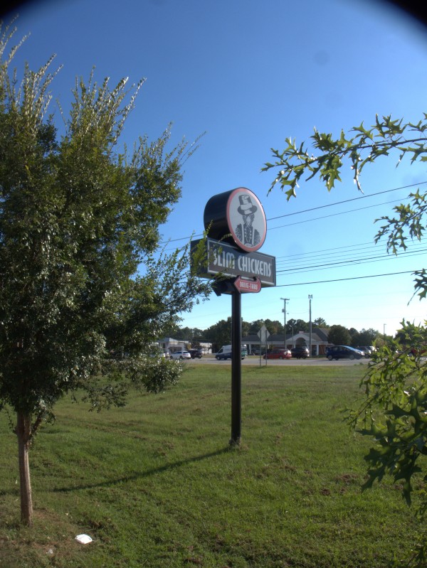 p2130879_tn.jpg