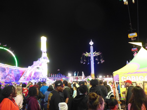 p2140326_tn.jpg