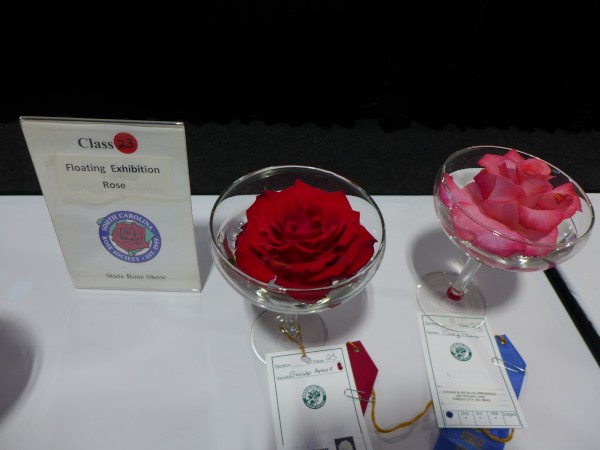 p2140355_tn.jpg